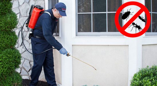 Keşan Bit İlaçlama böcek ilaçlama ve haşere kontrolü — ilaclama-tr.com